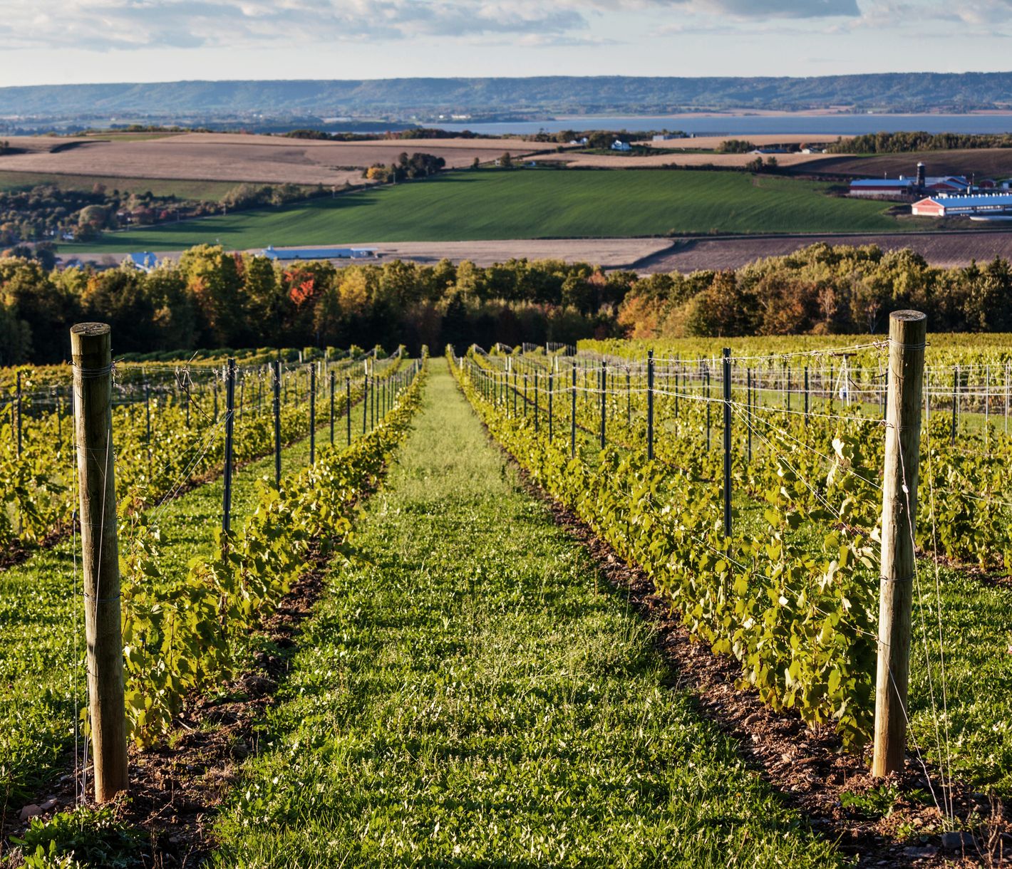 Weingüter und Landwirtschaft im Annapolis Valley