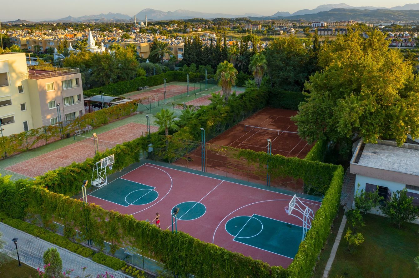 Basketball