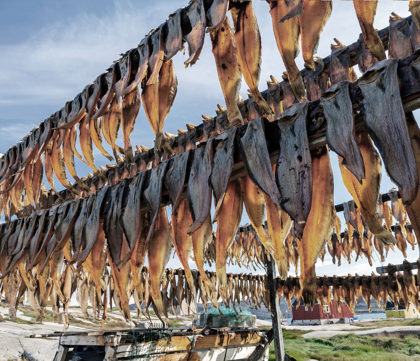 Die Trocknung der Fische wird seit der Antike praktiziert.