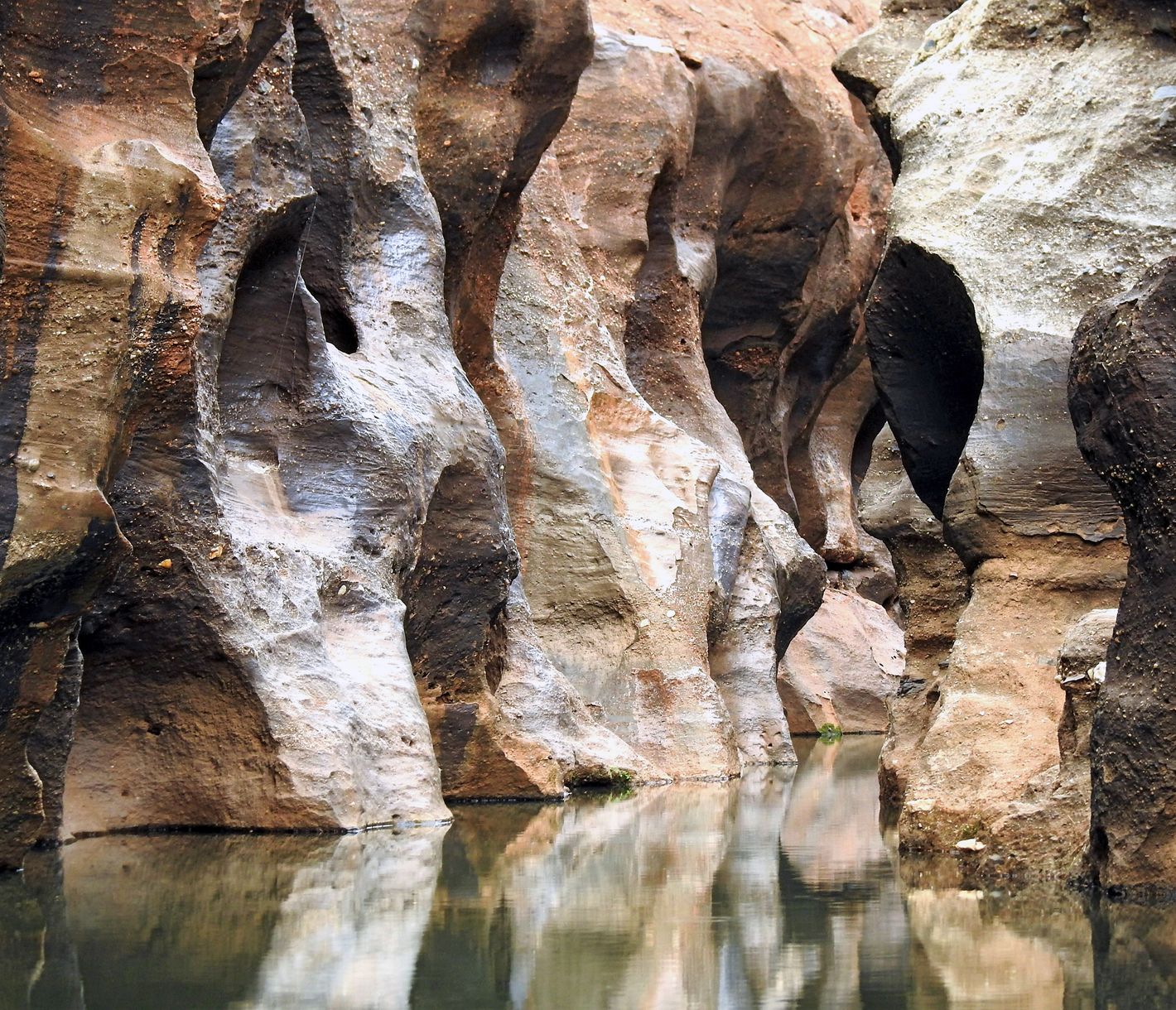 Stille in der Schlucht