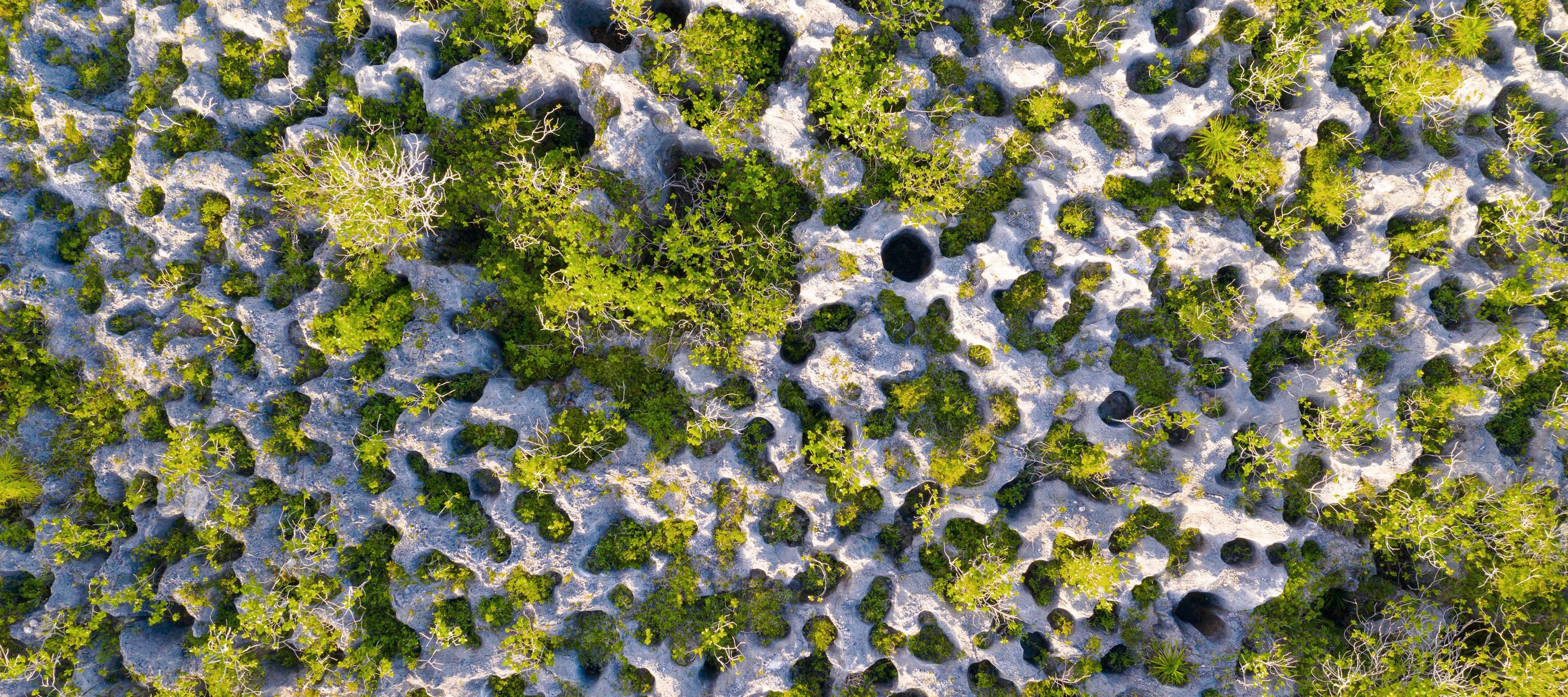 L’île corallienne époustouflante de Makatea