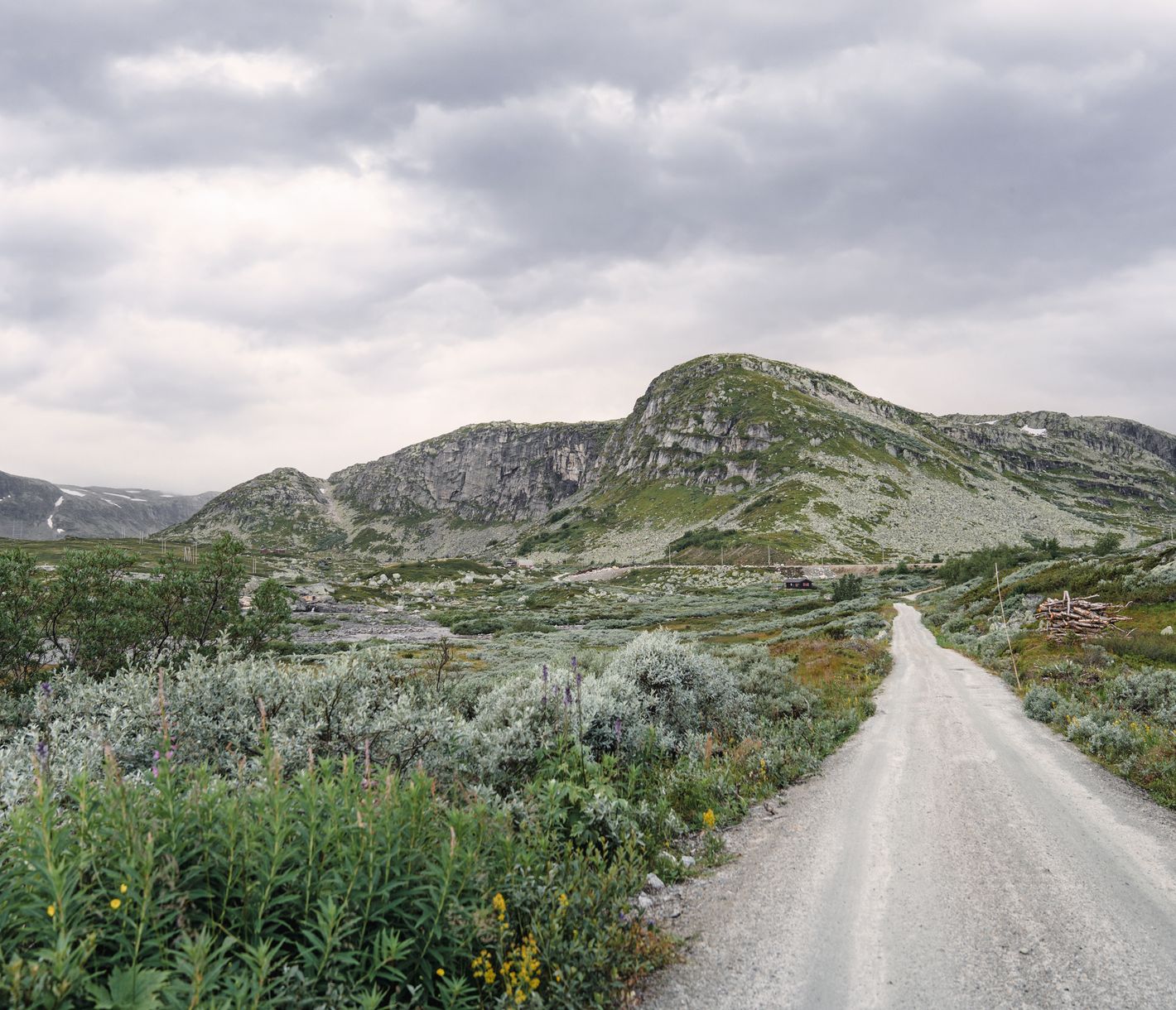 Rallarvegen: élue de nombreuses fois la plus belle route à vélo de Norvège
