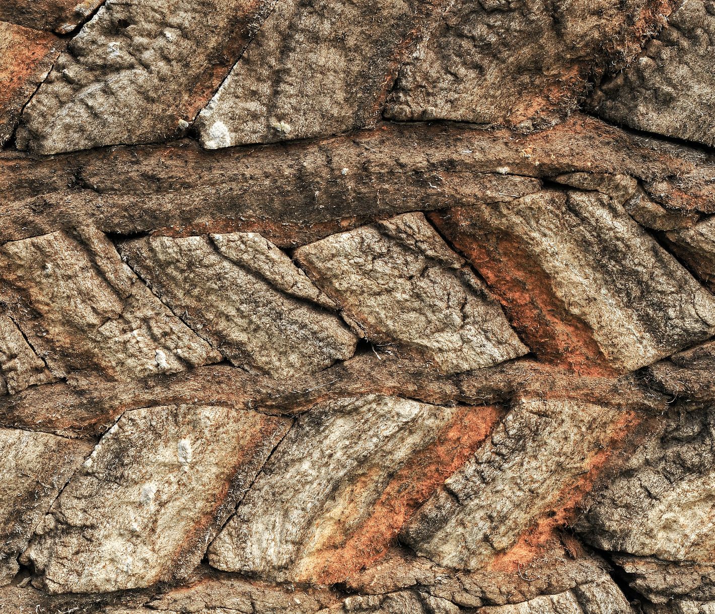 Sind Sie bereit für einen Zeitsprung?