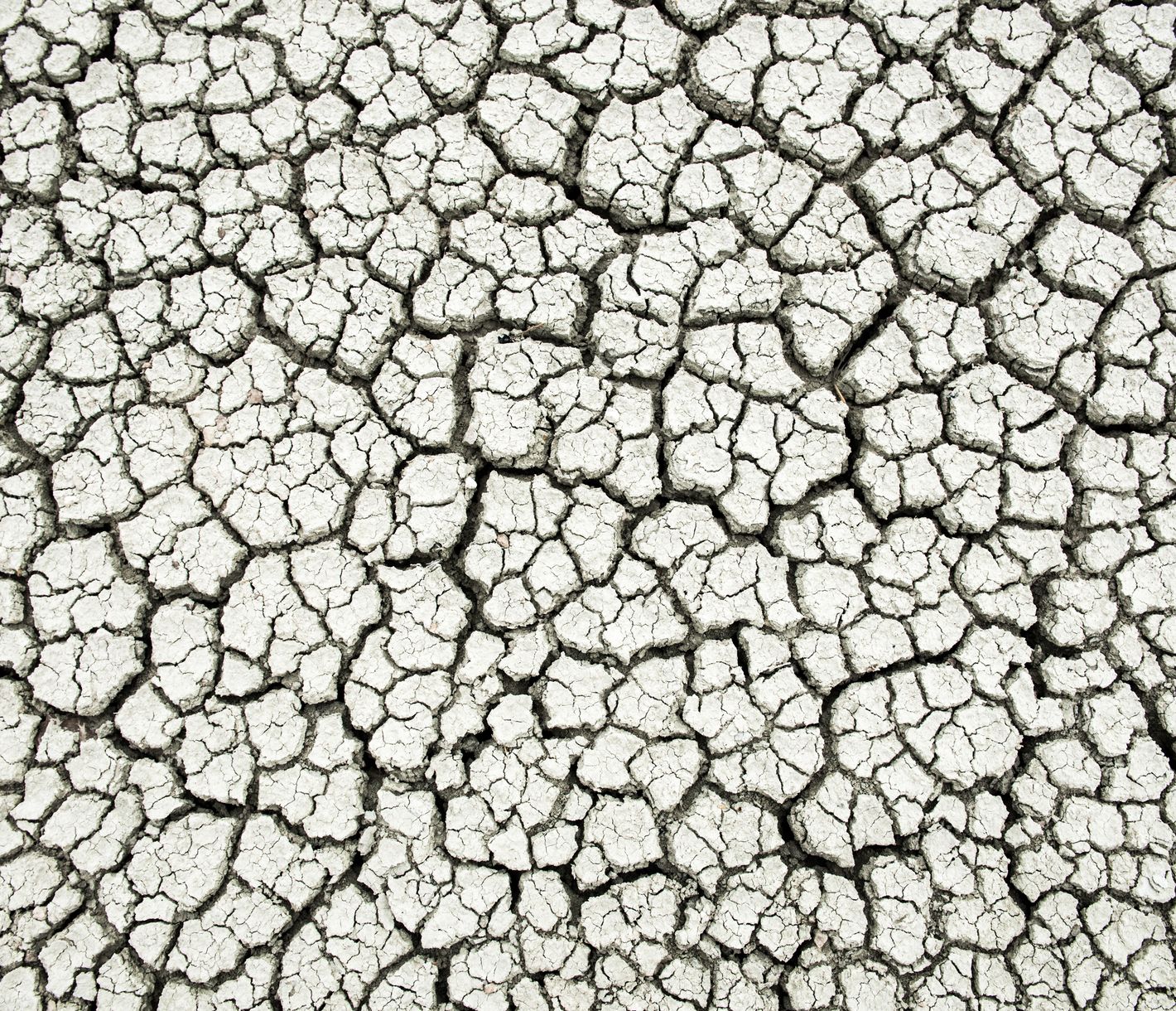 Ausgetrockneter und aufgerissener Boden in der Etosha-Salzpfanne