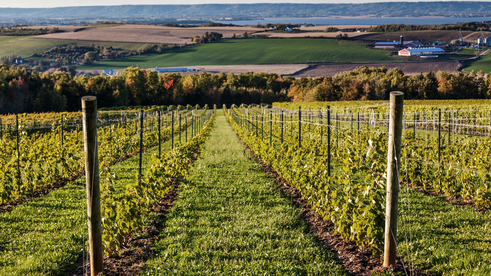 Weingüter und Landwirtschaft im Annapolis Valley