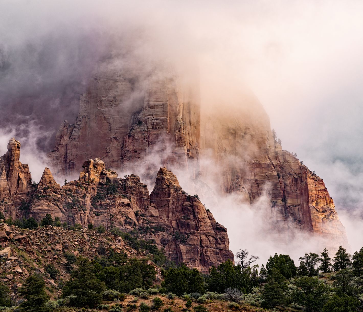 Die sensationellen Sandsteinwände im Zion National Park sind durch Erosion entstanden.