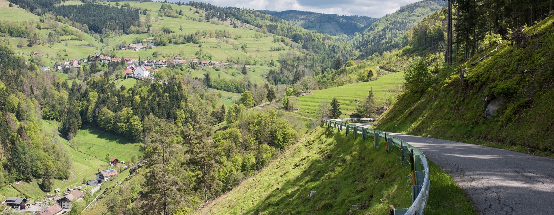 Landschaft bei Höchenschwand