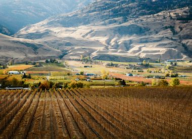 Das Top-Weingebiet British Columbias