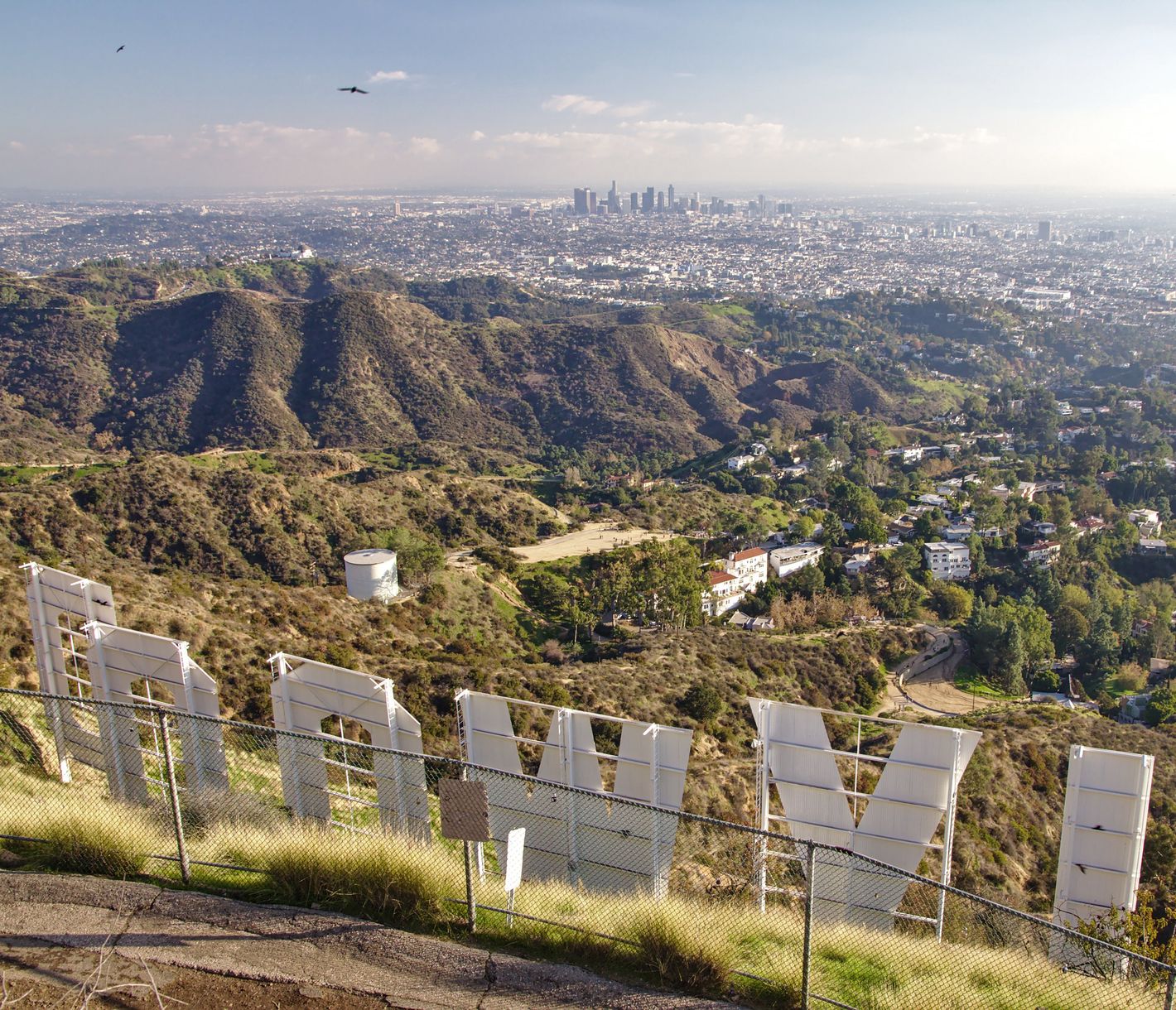 Der Hollywood-Schriftzug gilt als kultiges Wahrzeichen der Stadt.