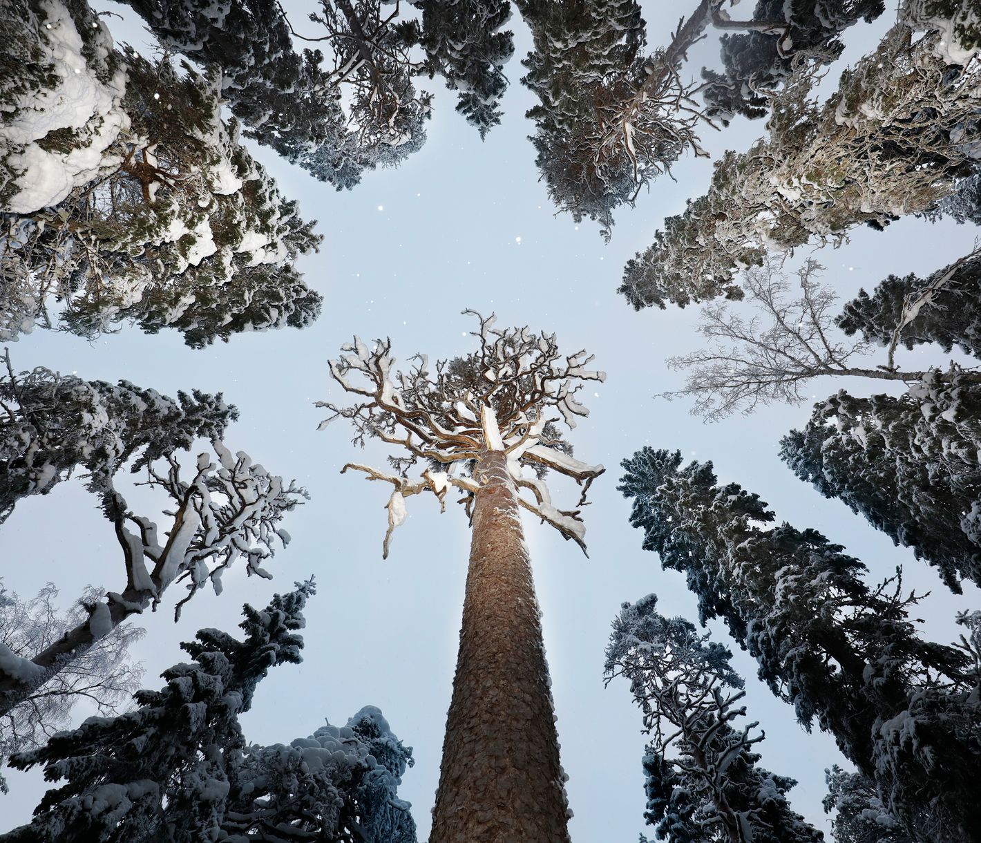 Eintauchen in eine Märchenlandschaft aus Schnee und Eis