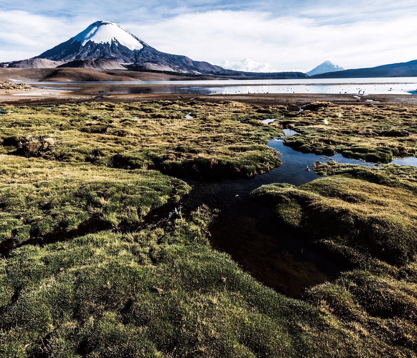 Magische Landschaft im Lauca Nationalpark