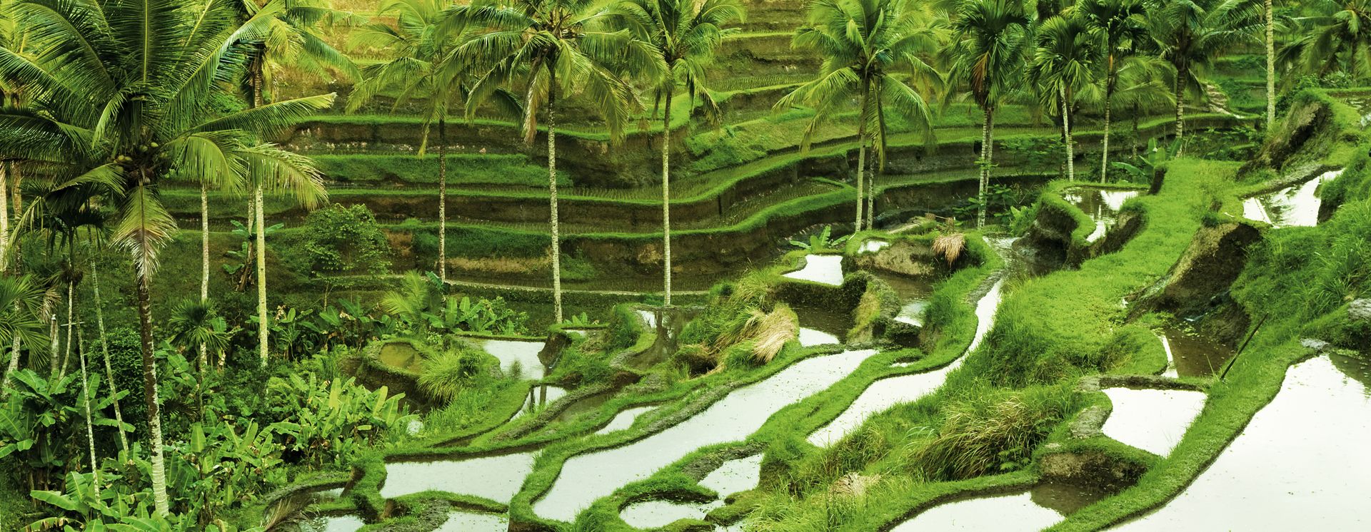 Ubud