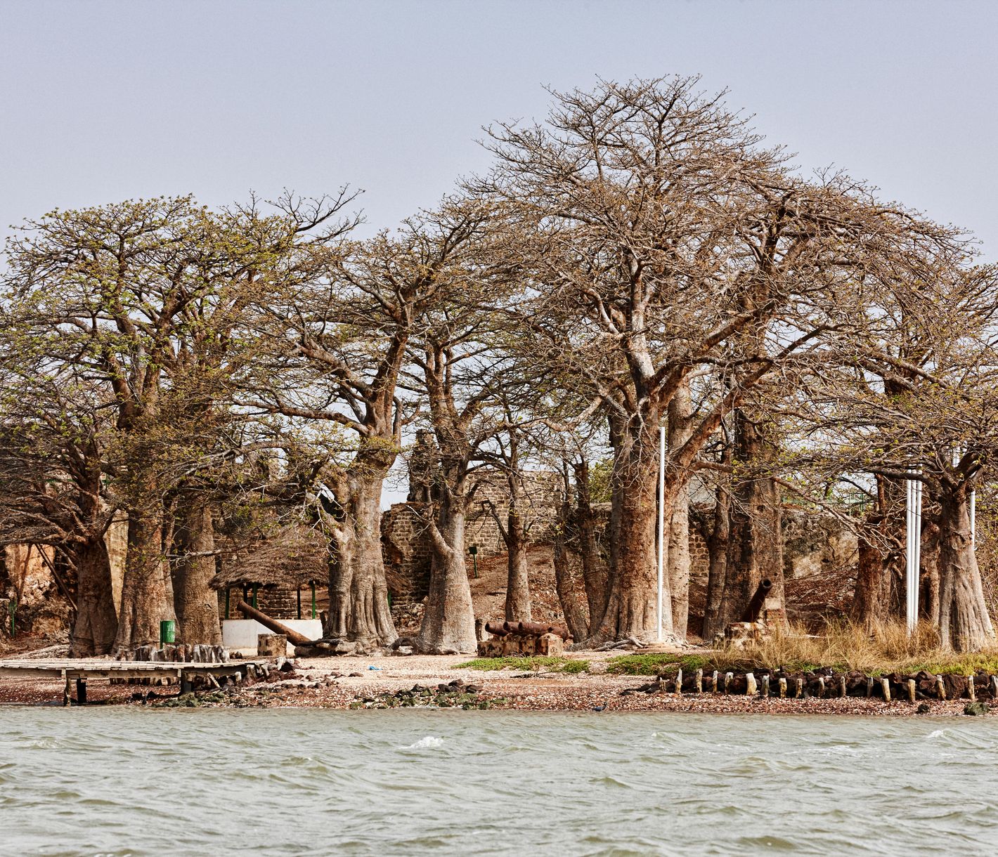 Blick auf die kleine Insel Kunta Kinteh mit den Ruinen des alten Forts