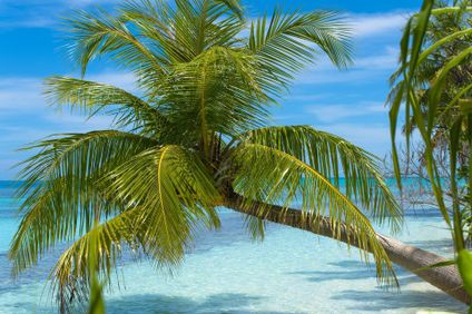 8. Bild der Unterkunft