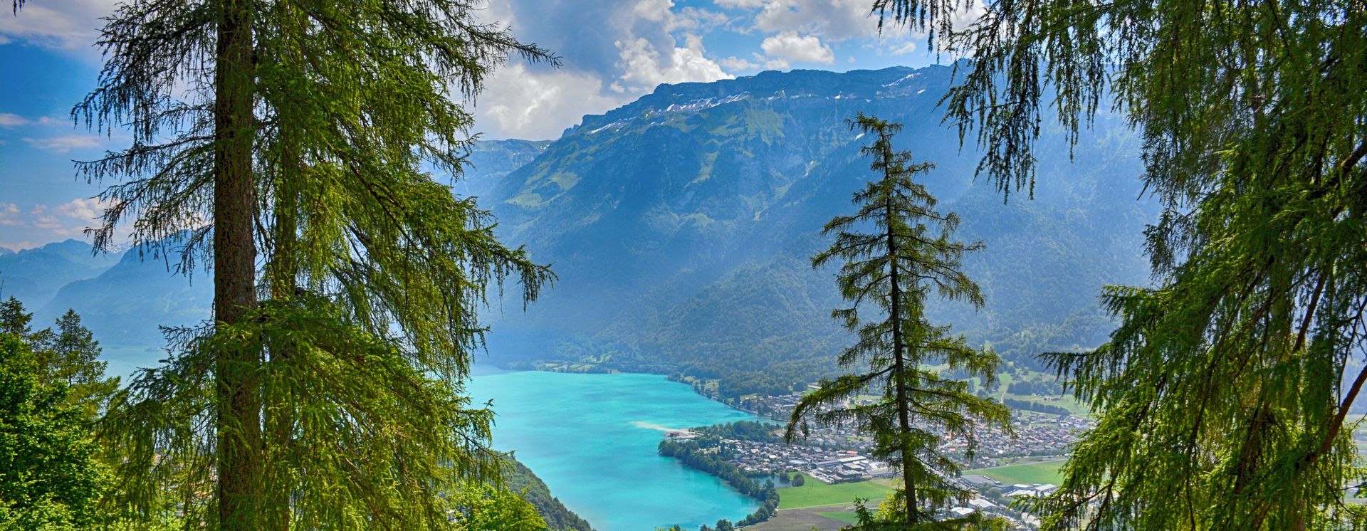 Blick auf den Brienzersee