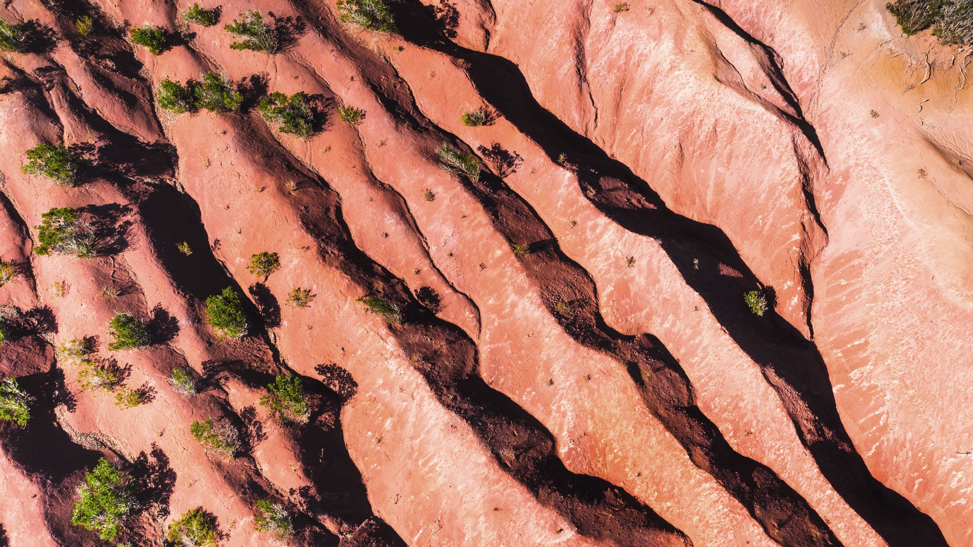 Ein Naturschauspiel der anderen Art wartet auf La Gomera.