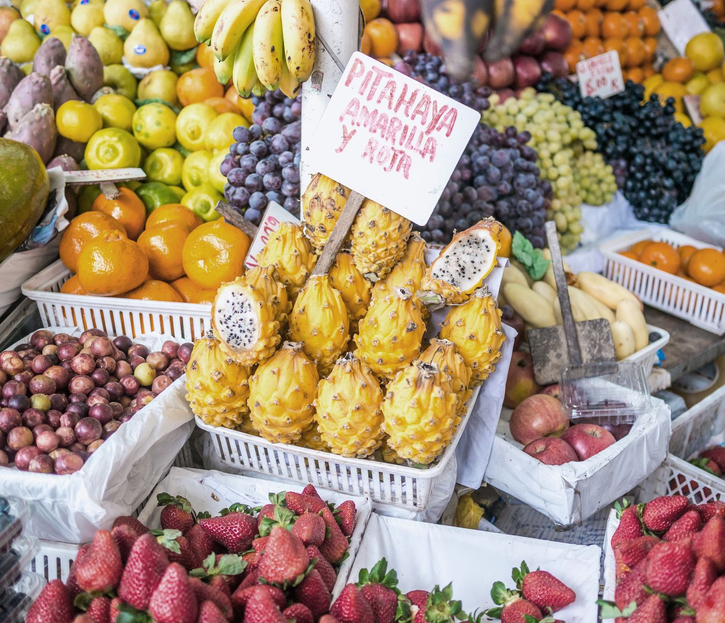 Was essen wir wohl heute?