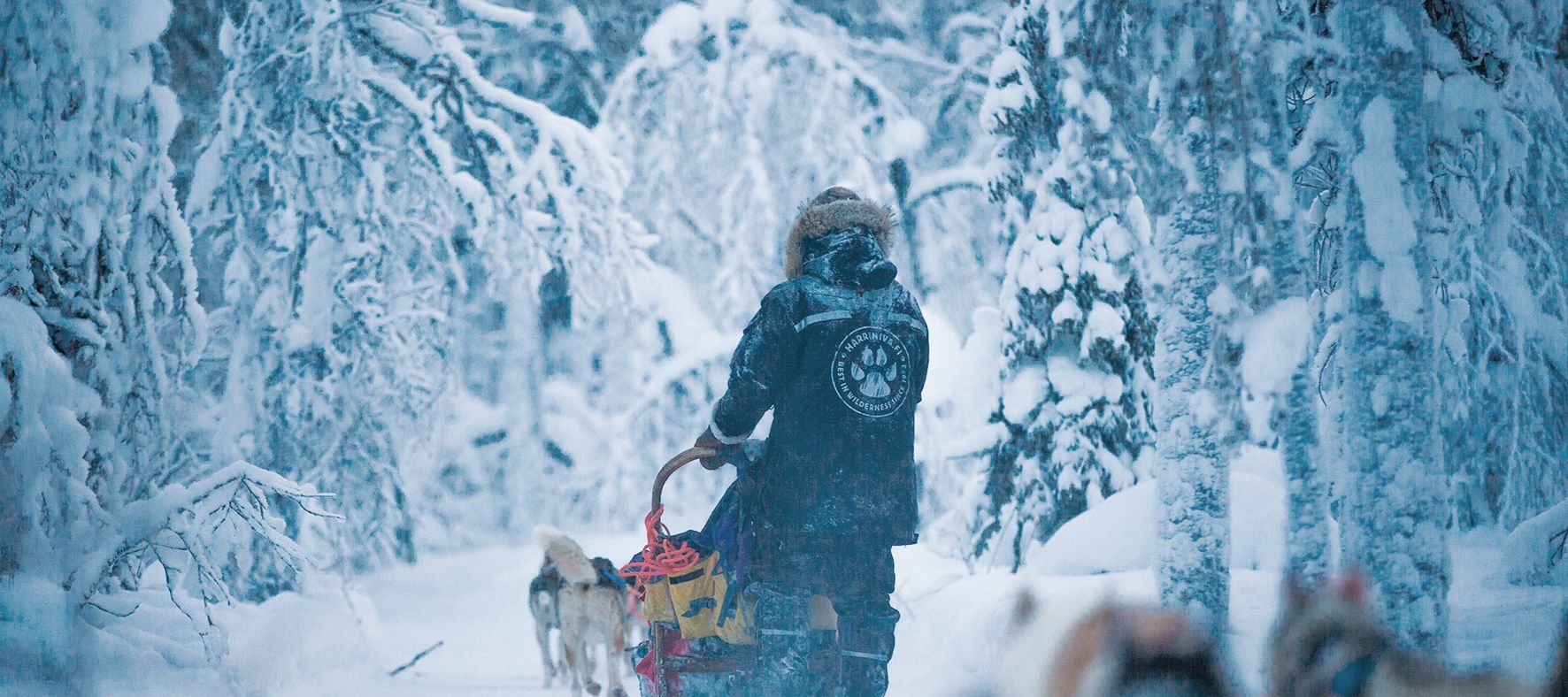 Ein erfahrener Guide begleitet Sie während der Tour.