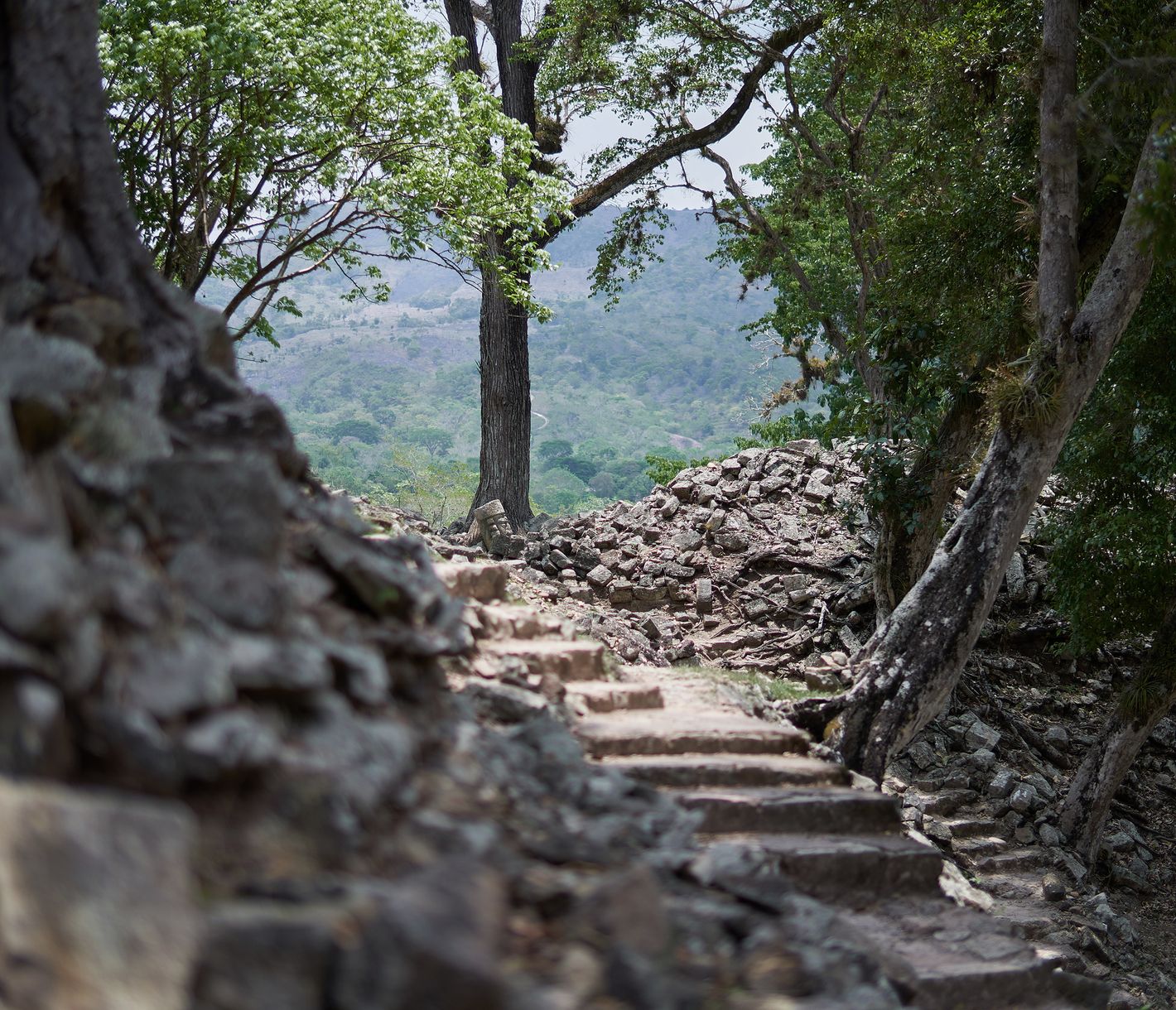 Zum Entdecken: Copan-Ruinen