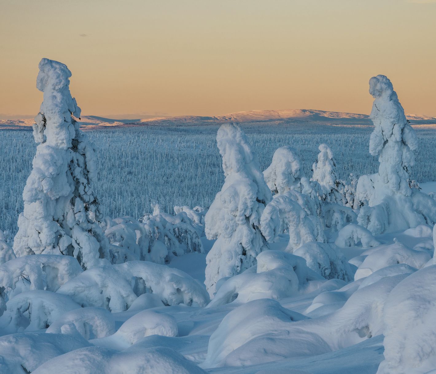 Wandern und Spazieren