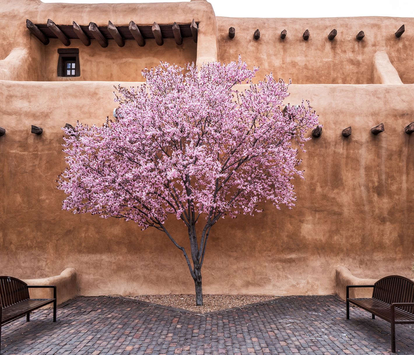 Im Kunstmekka Santa Fe gibt es einzigartige Pueblo-Architektur zu bewundern.