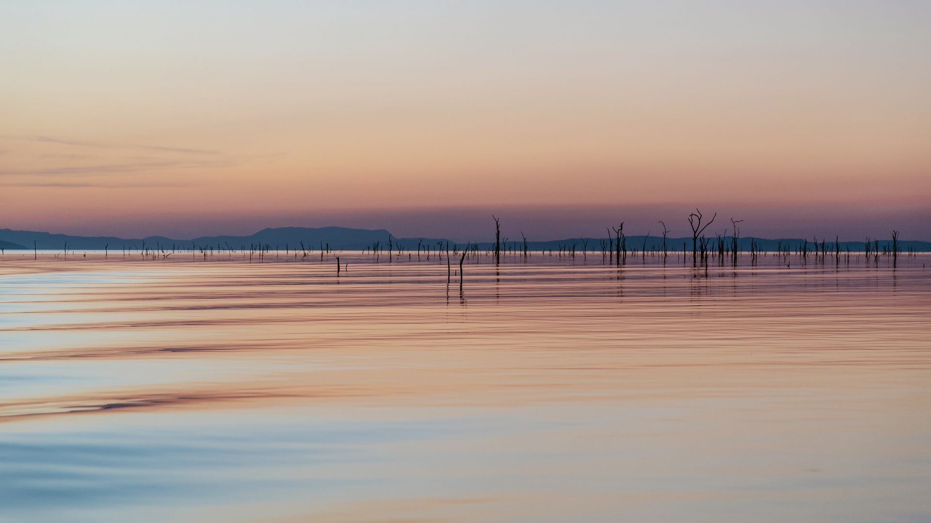 Le lac Kariba, un joyau naturel essentiel à la vie sauvage
