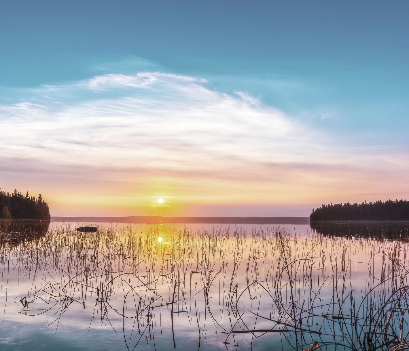 Prince Albert National Park