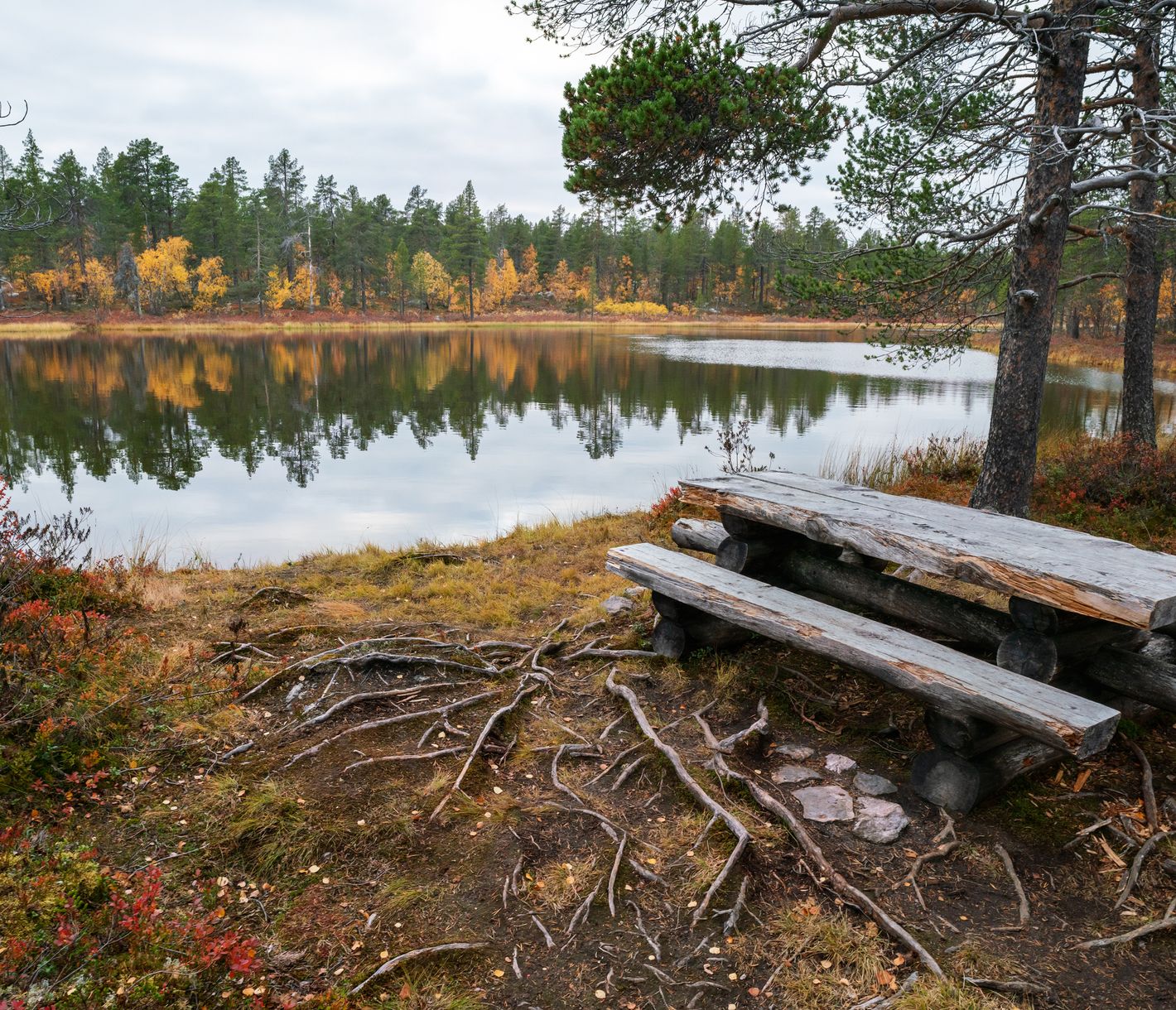 Wandern im Pallas-Yllästunturi-Nationalpark
