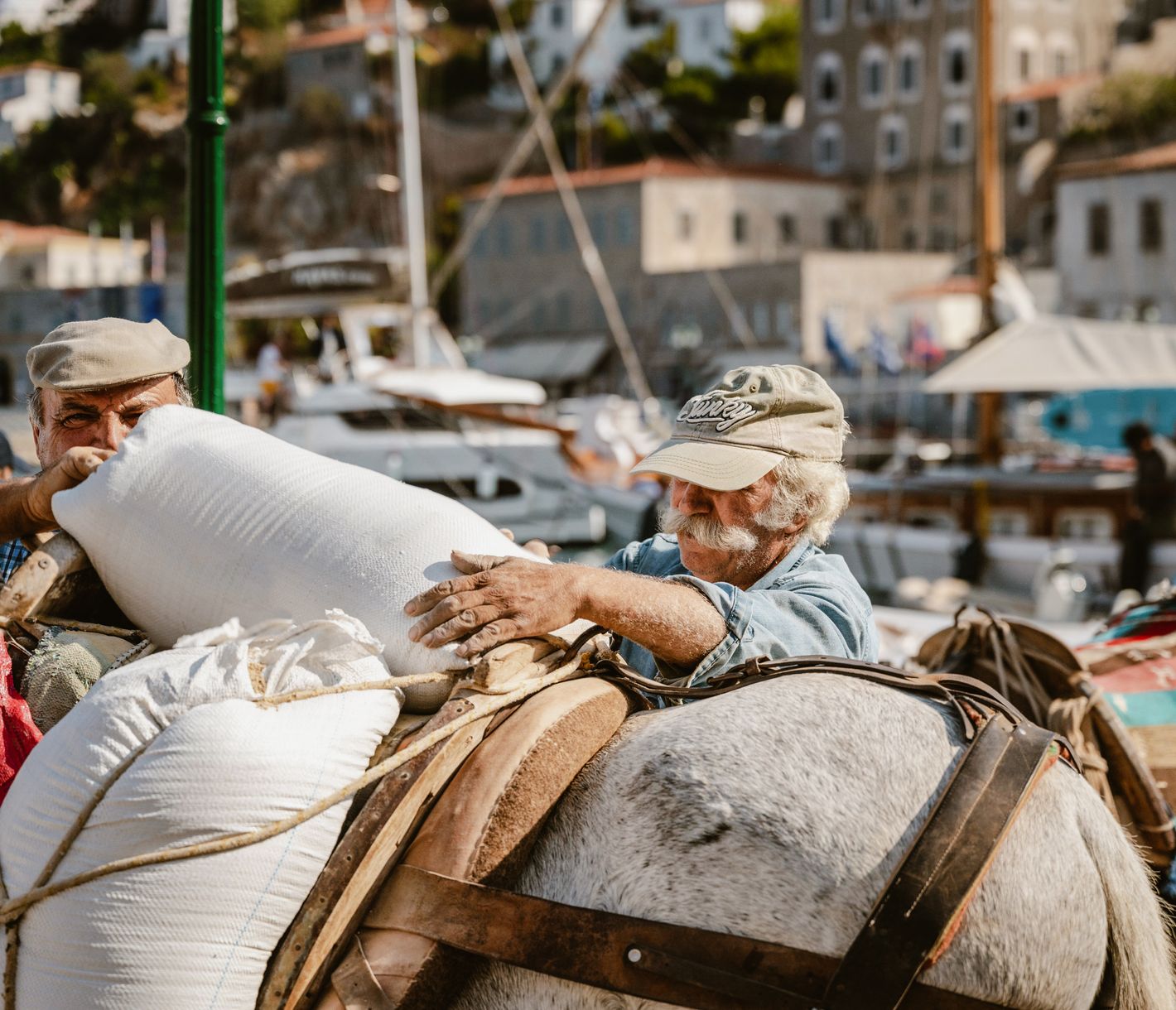 Die Lieferung ist unterwegs – auf Hydra auf 4 Beinen.