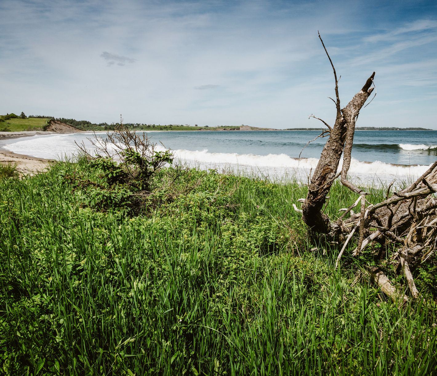 Küstenwanderungen par excellence.