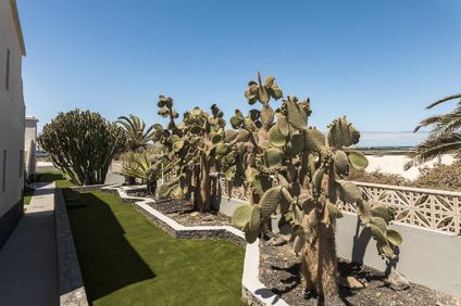 8. Bild der Unterkunft