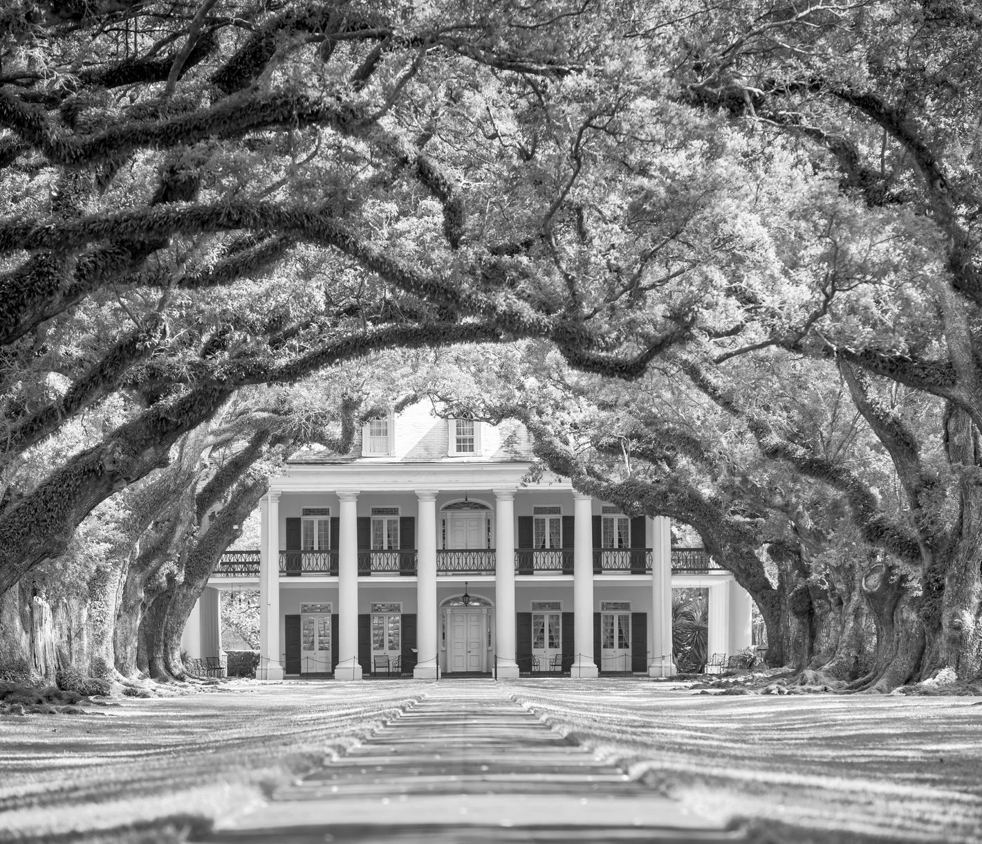 Immersive Geschichtsstunde auf der Oak Alley Plantation
