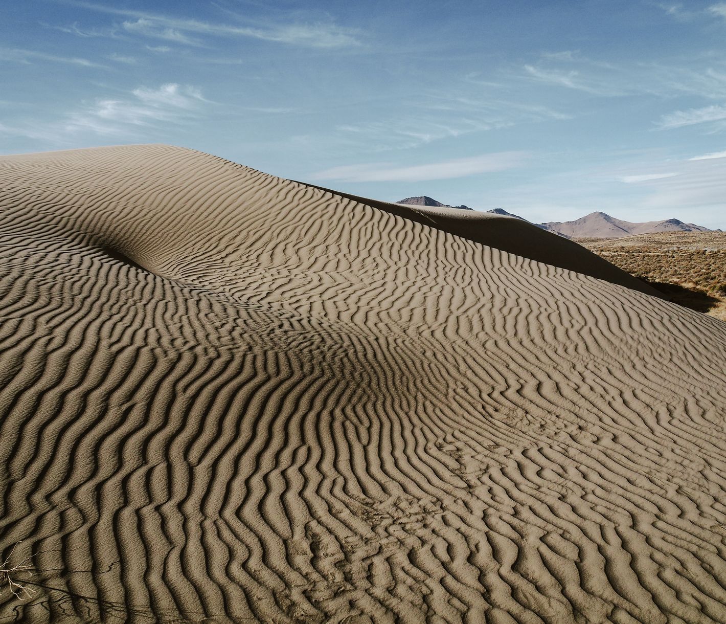 Die Sanddünen von Winnemucca