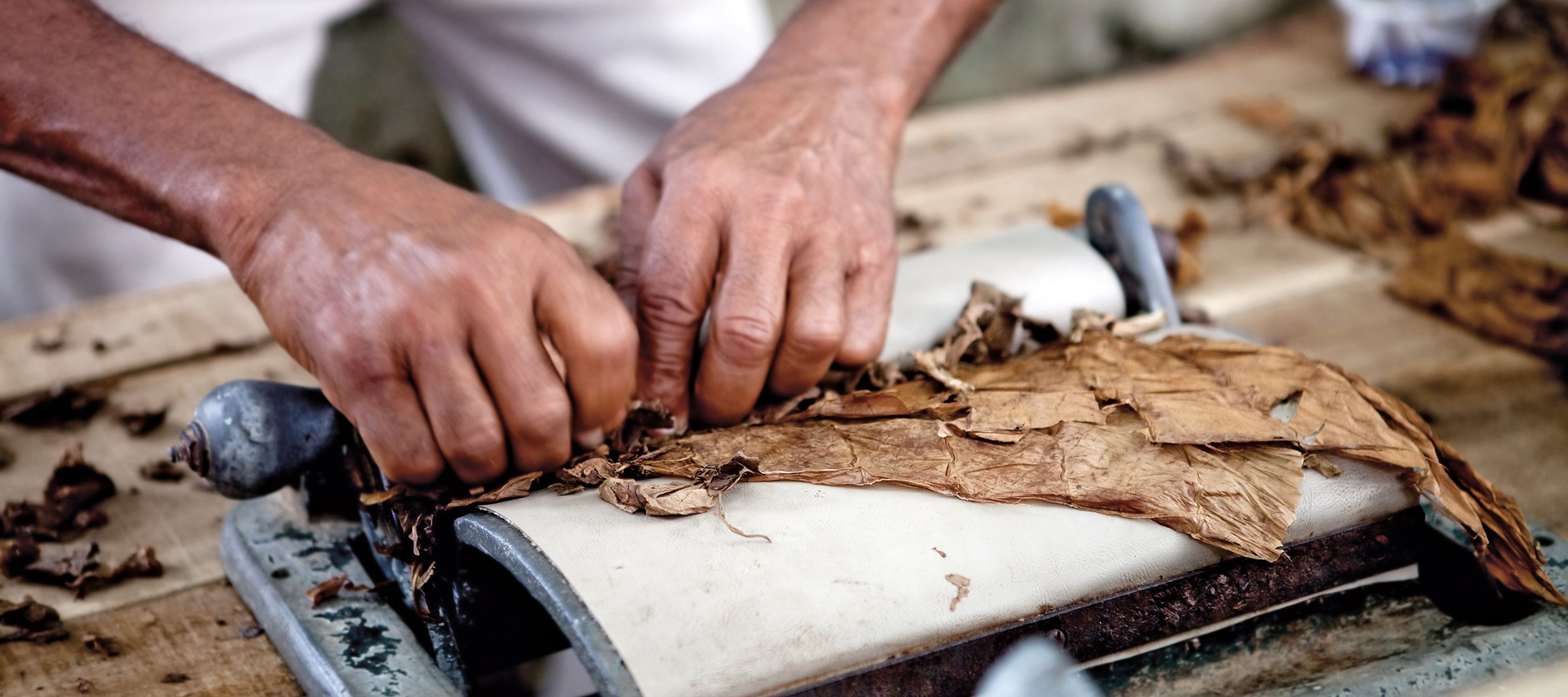 Zigarre rollen: üben, üben, üben!