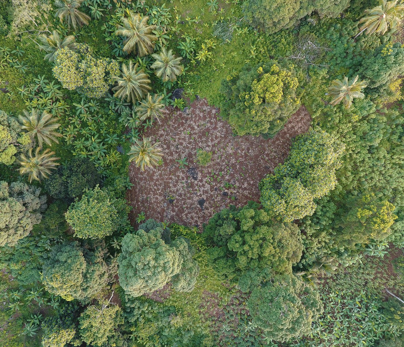 Mont Combani et son gîte authentique