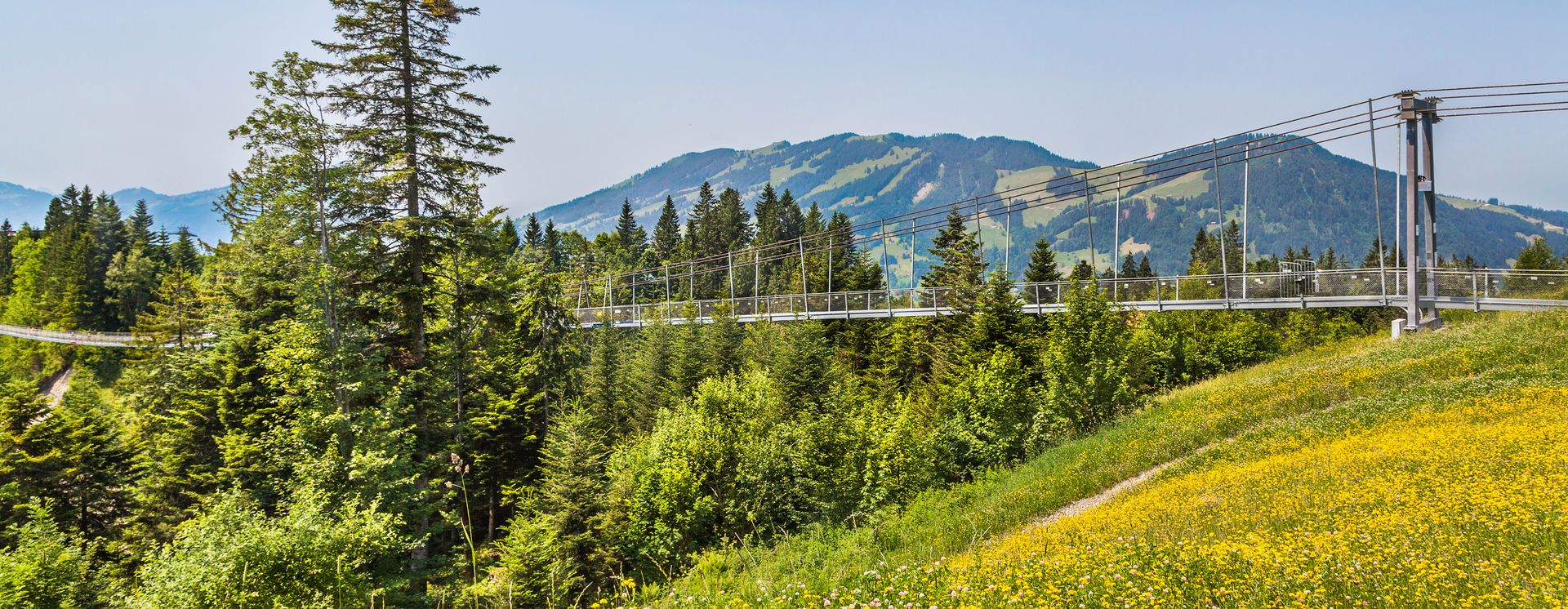 Die Hängebrücke in Sattel