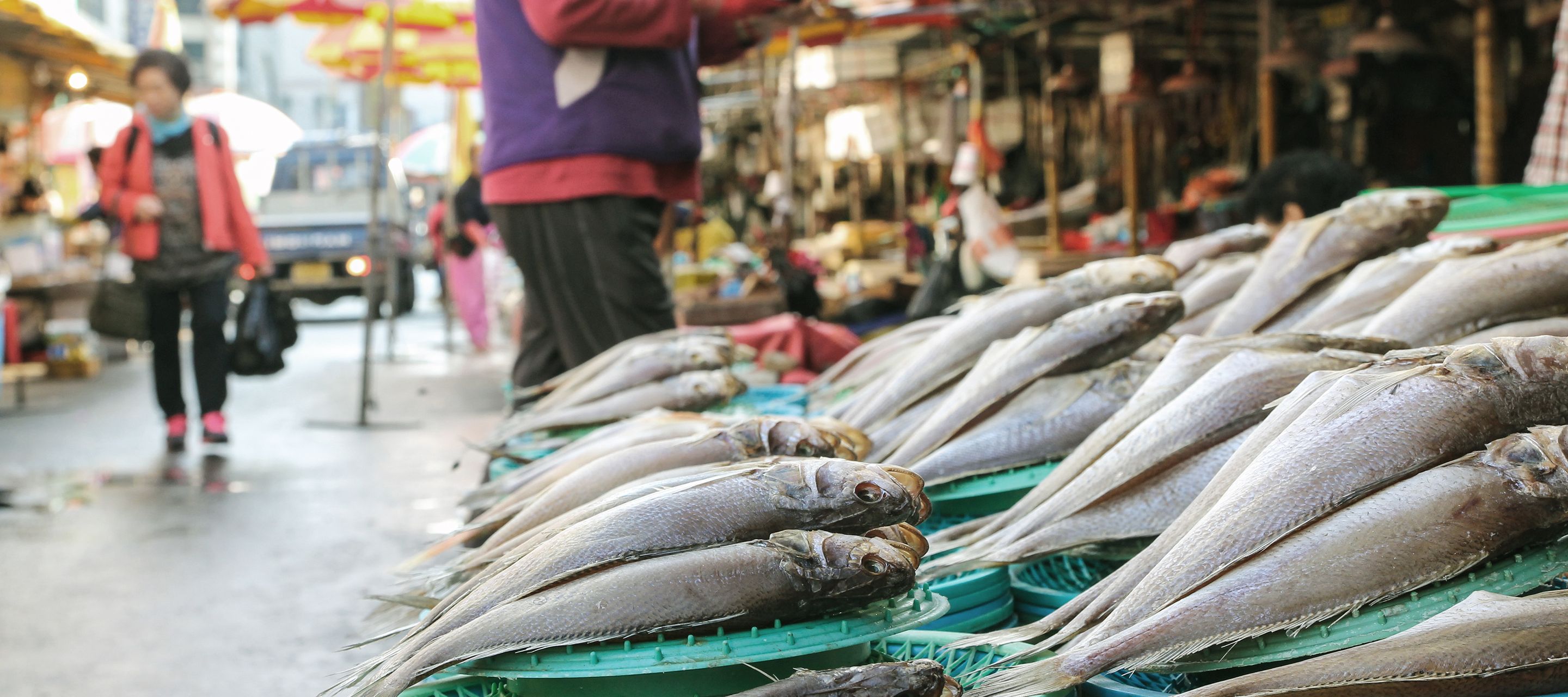 Des poissons fraîchement pêchés sont exposés au marché de Jagalchi à Busan.
