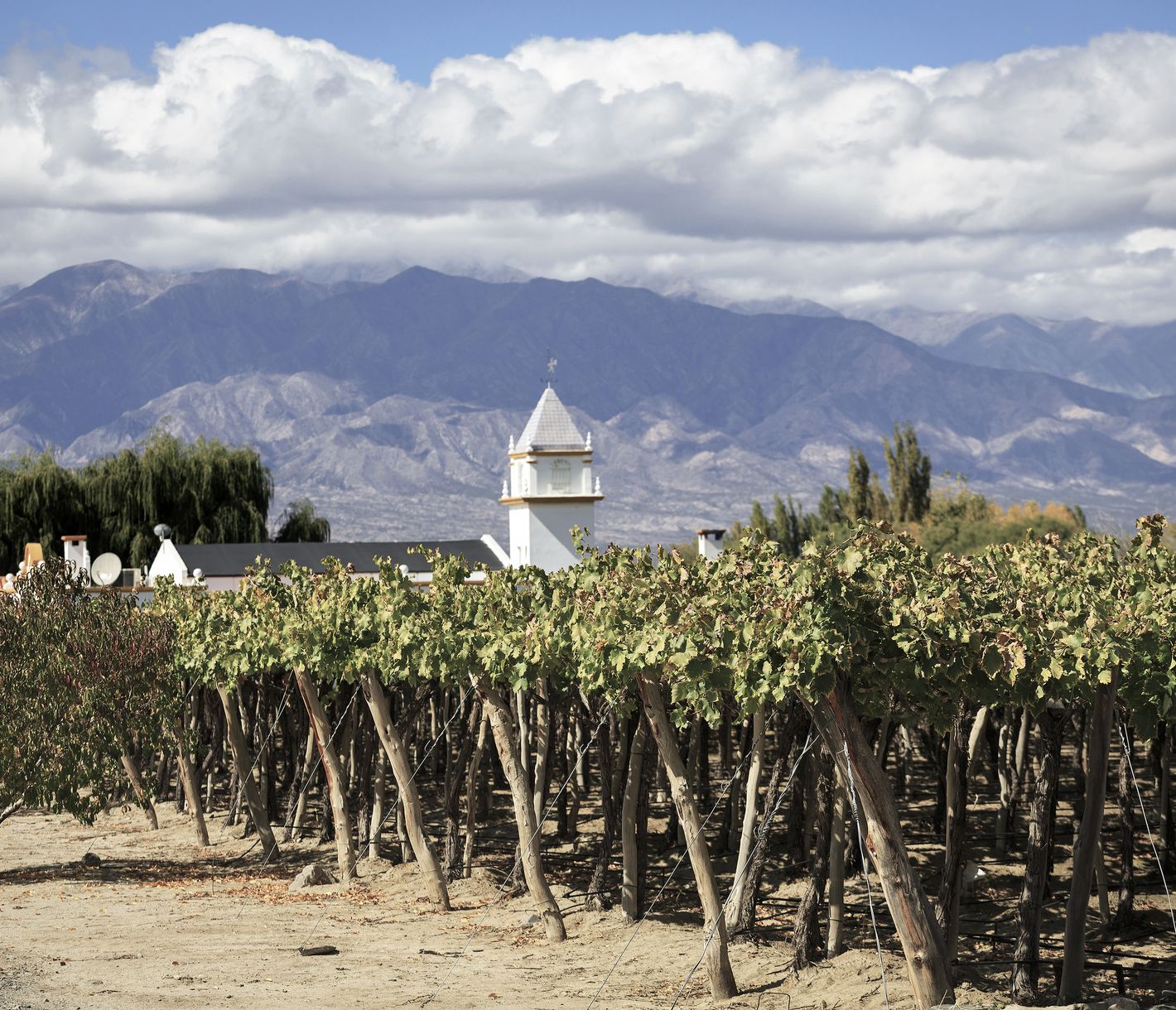 Der Weinanbauort Cafayate