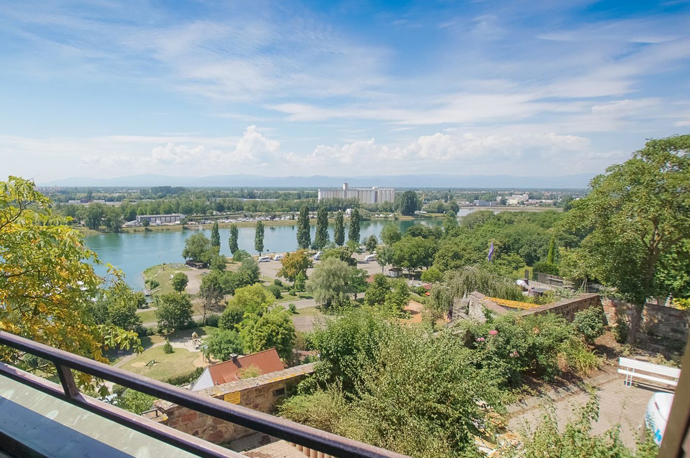 Blick auf den Rhein