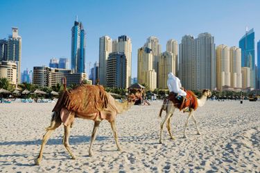 Bilder zu Migros Ferien (ZIP)