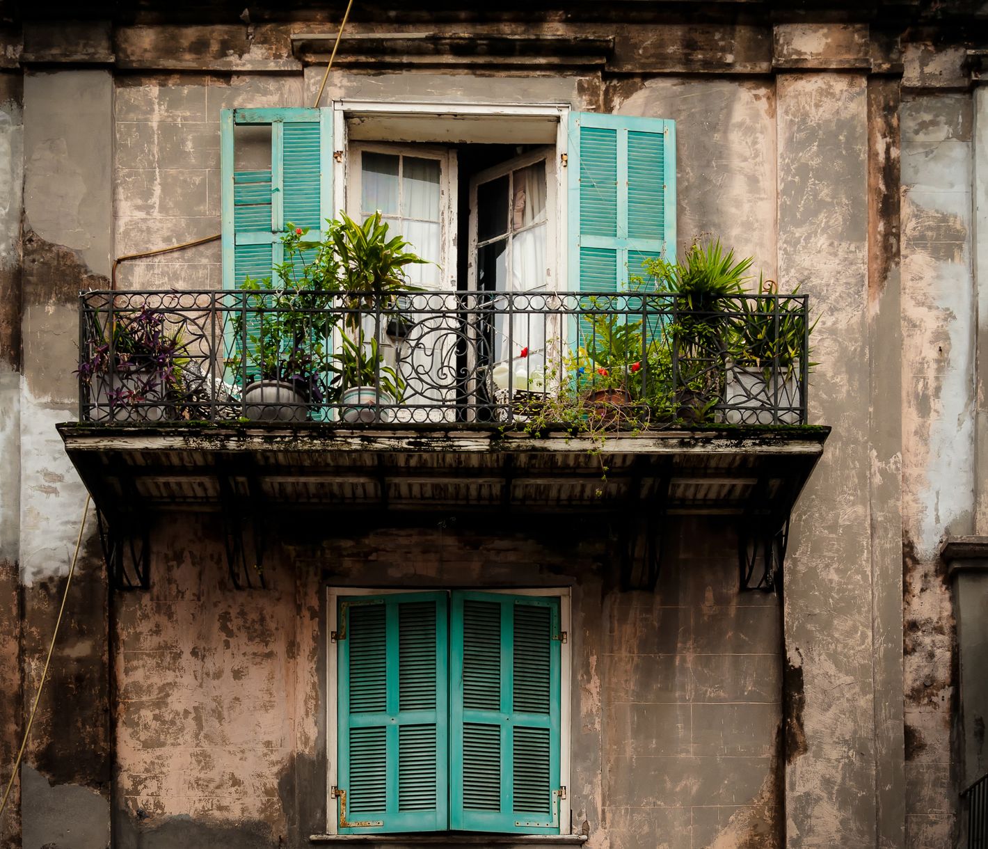 Die teils antiken Wohnhäuser aus der Kolonialzeit im French Quarter erzählen ihre ganz eigene Geschichte.