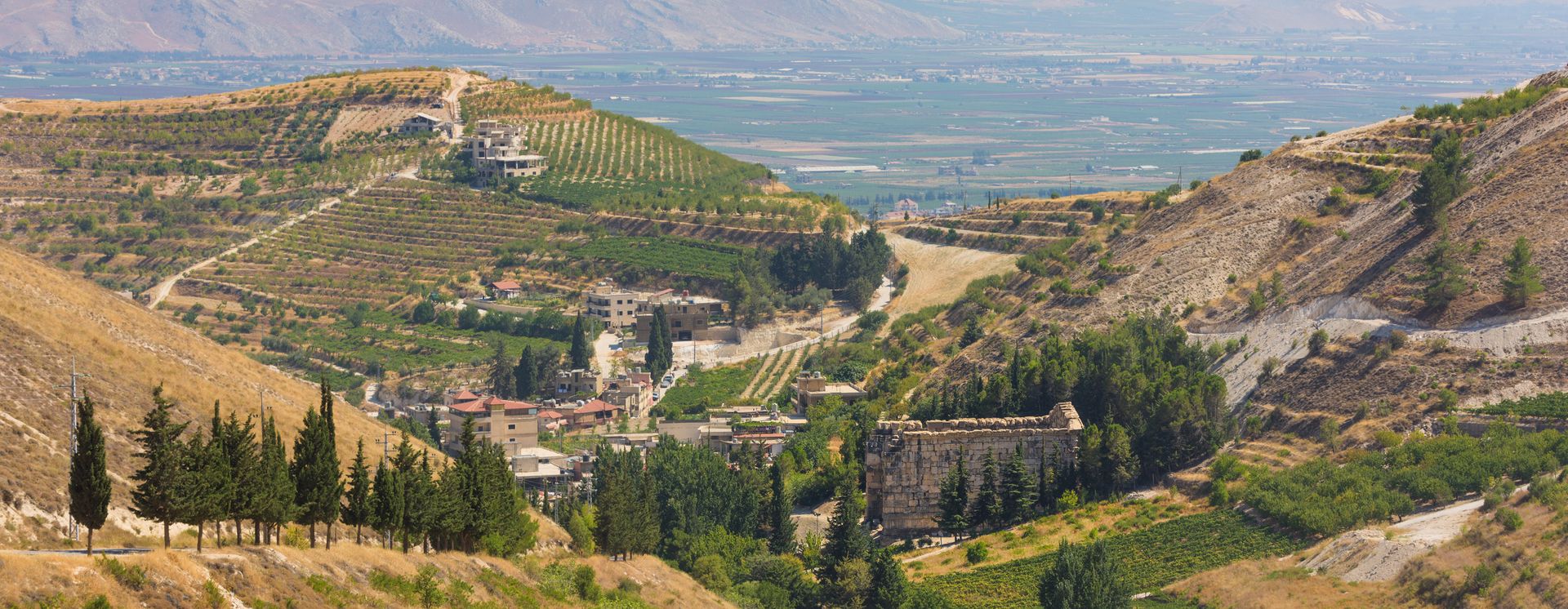 Temple de Niha et vignobles dans la plaine de Bekaa