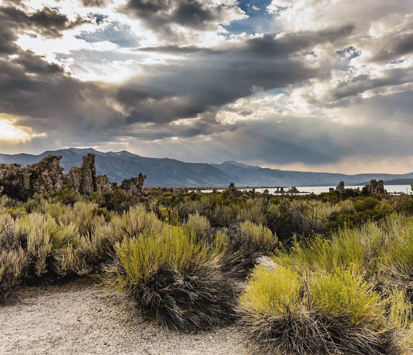 Der Mono Lake ist einer der ältesten Seen der Erde.