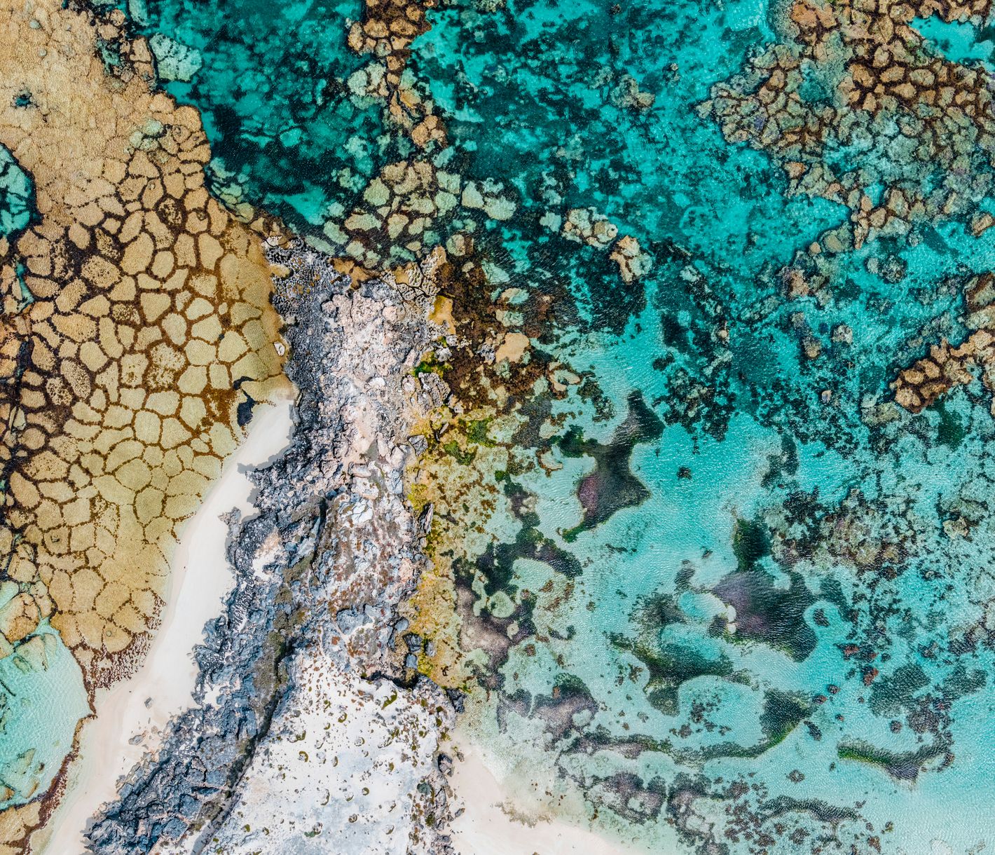 Eine einzigartige Insel