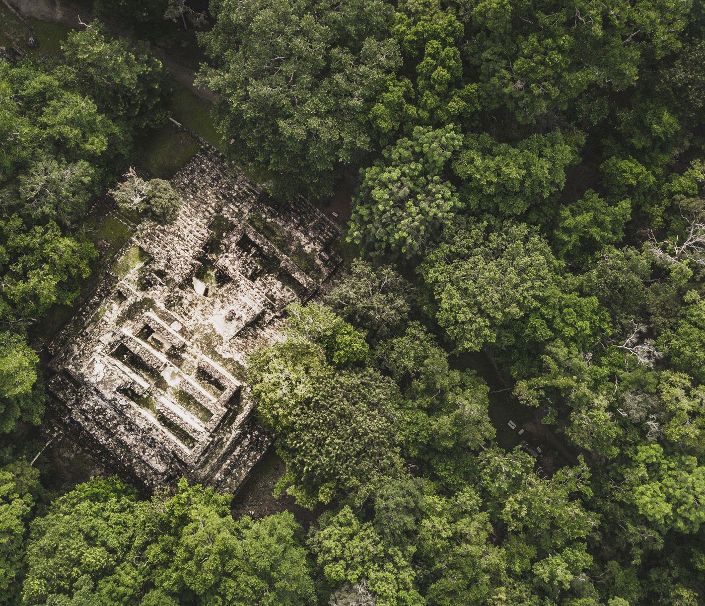 Calakmul, die Ausgrabungsstädte einer gut erhaltenen Mayastadt