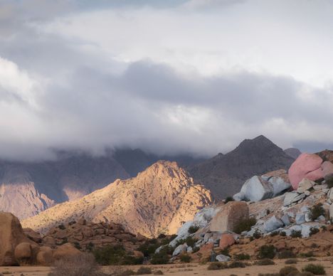 Tafraoute