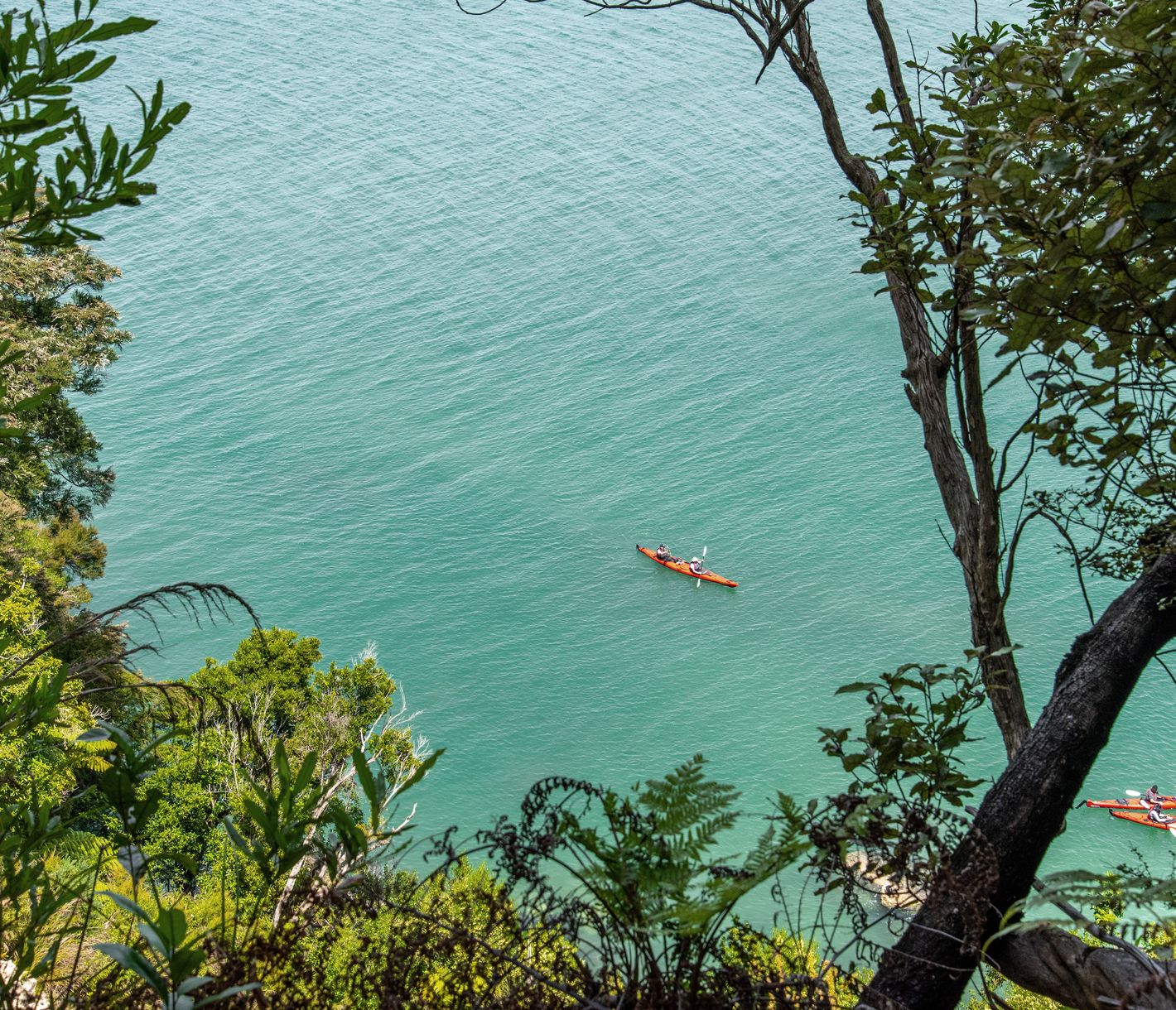 Kajaken durch den Abel Tasman National Park