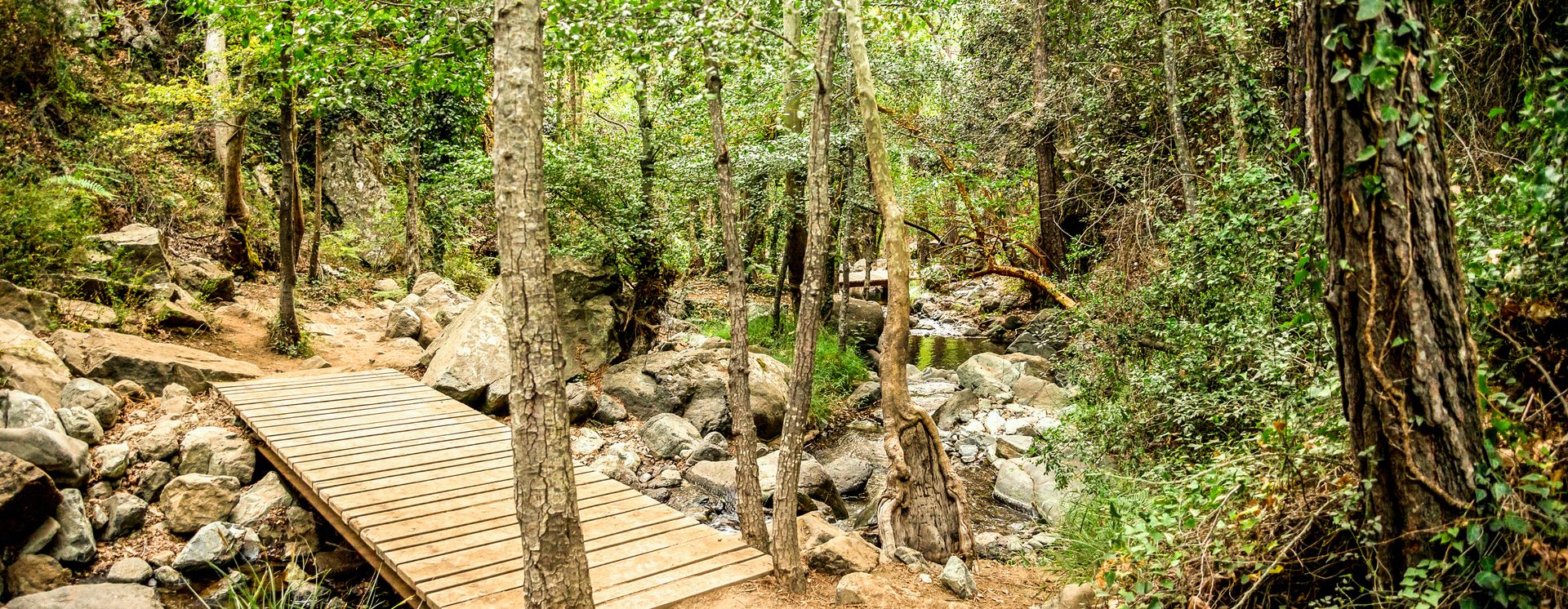 Beau sentier de randonnée à Platres