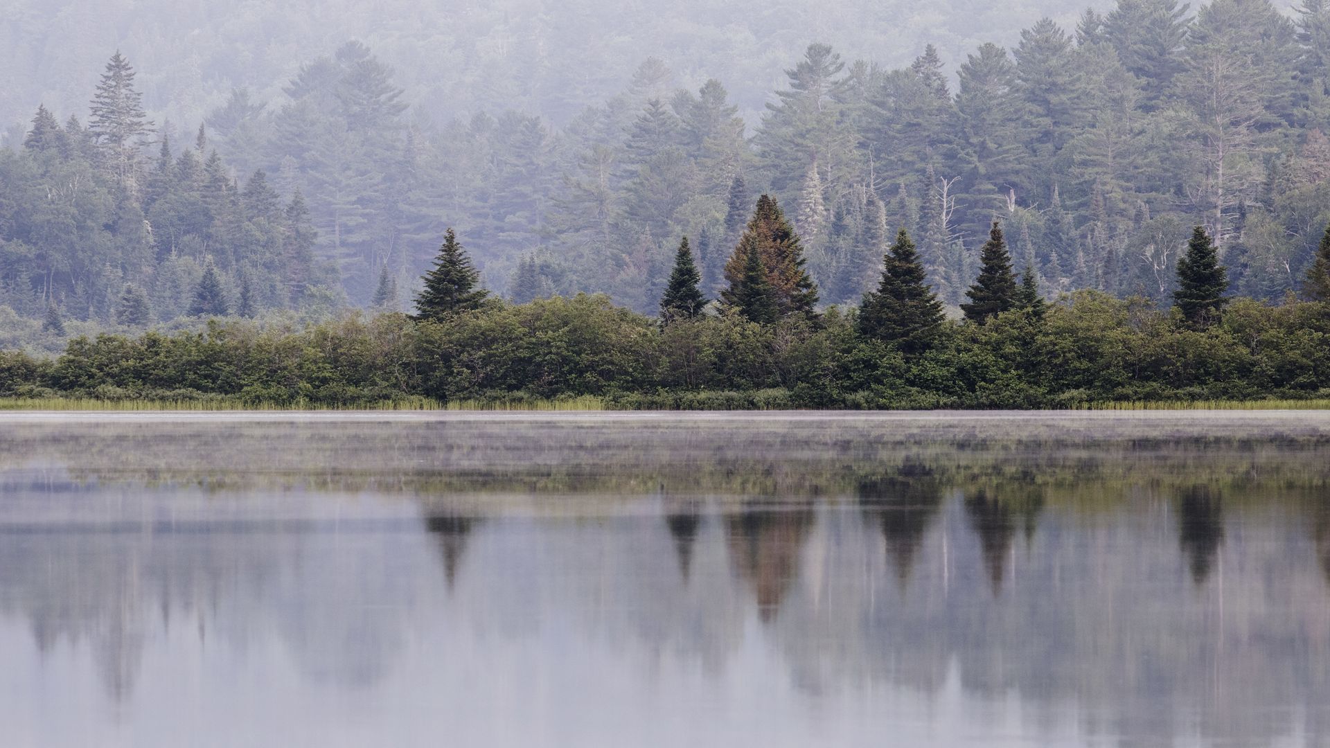 Blick auf den Lac Sacacomie