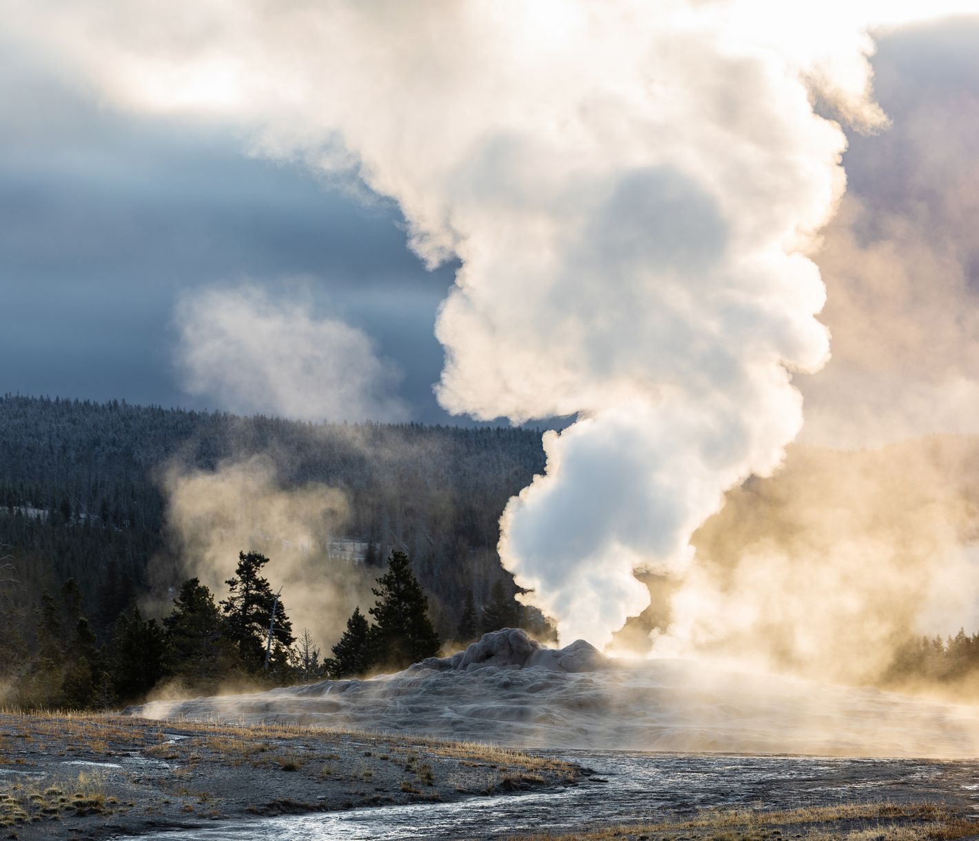 Old-Faithful-Geysir im Yellowstone National Park